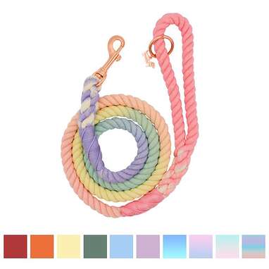 Best for colorful dog moms: Sassy Woof Rope Dog Leash