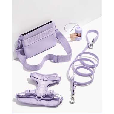 Best for dog moms who love walking their pups: Harness Walk & Treat Kit