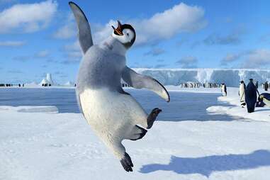 mumble happy feet