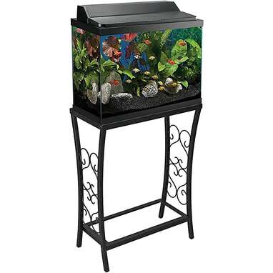 7 Best Fish stand ideas  fish stand, fish, fishing tips