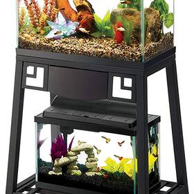 5 Fish Tank Decorations To Turn Your Aquarium Into Your Pet's Happy Place -  DodoWell - The Dodo