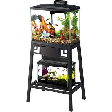 Fish Tank Stand: The 5 Best Options To Display Your Vibrant Aquarium -  DodoWell - The Dodo