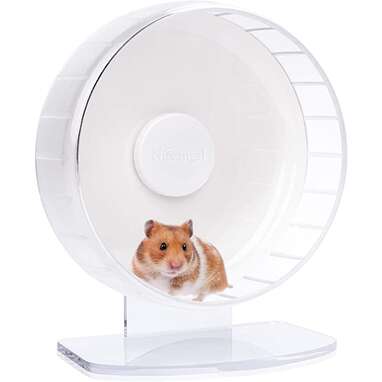 Hamster running 2024