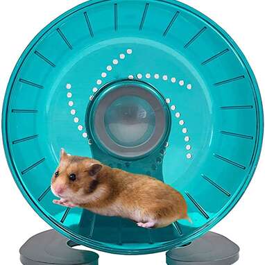 Best value: Petest Hamster Exercise Wheel 