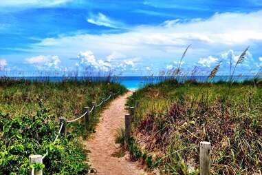 dirt path leading through grass to a beach