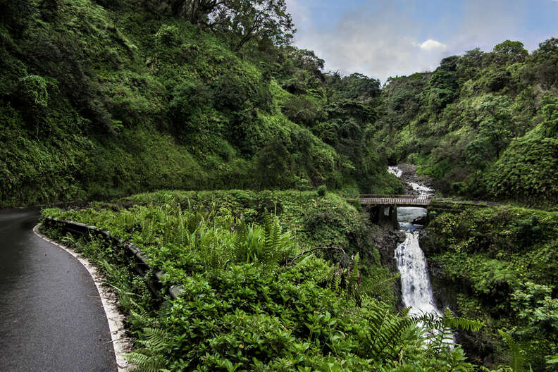 a road through a dense jungle and past waterfalls