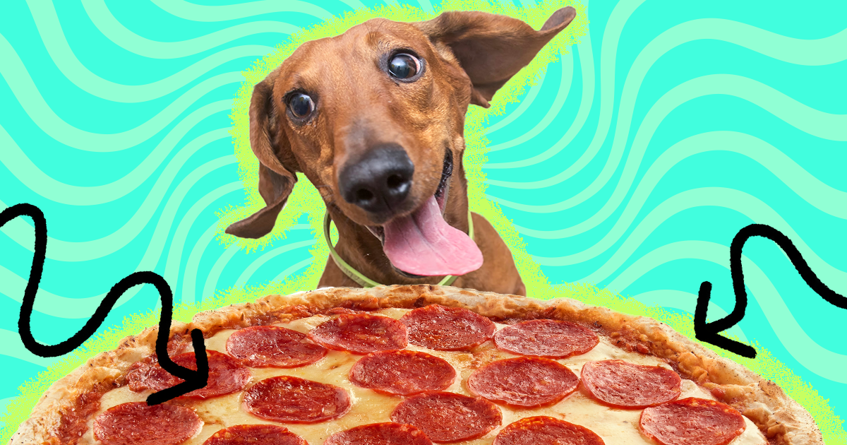 Is pizza bad for dogs hotsell