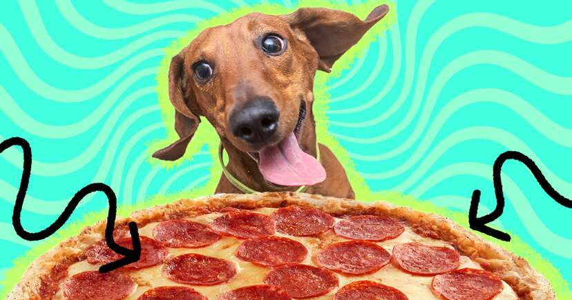 is pepperoni pizza good for dogs