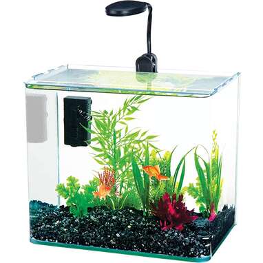 Best small hot sale aquarium kit