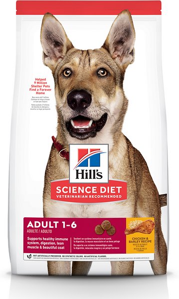 Number 1 vet recommended dog outlet food