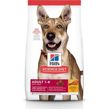 Vet dog 2024 food brands