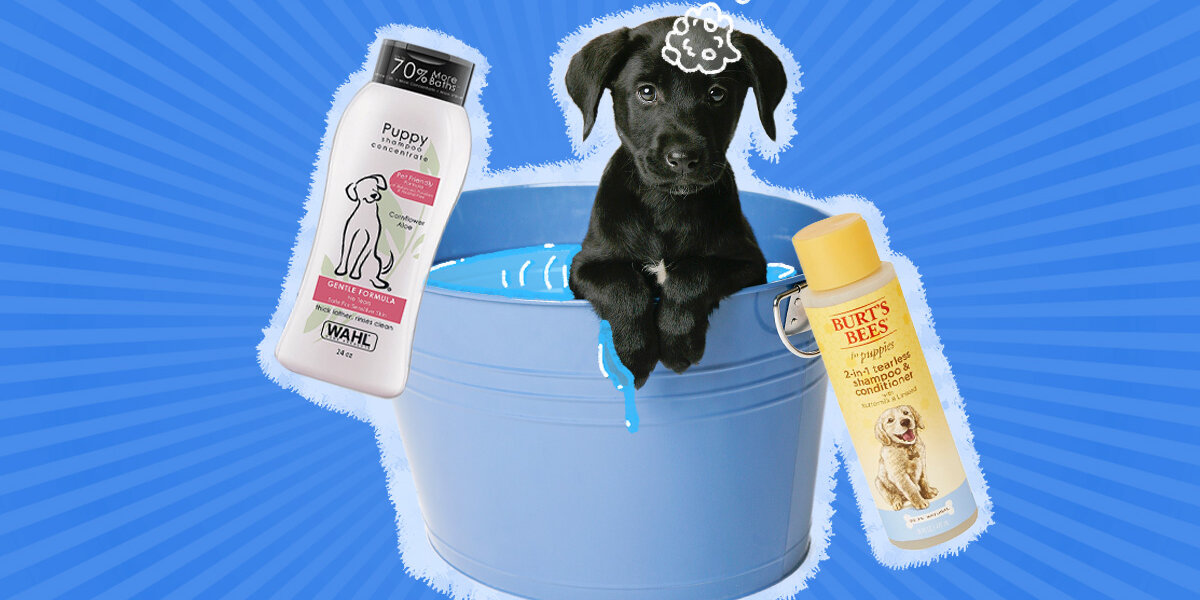 Puppy safe hot sale shampoo