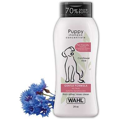Best Puppy Shampoo: The Top 5 Vet-Recommended Options For ...