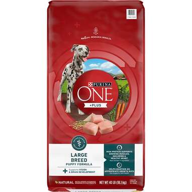 Good large breed puppy food best sale