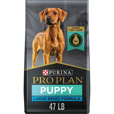 what is the best dog food for large breed puppies