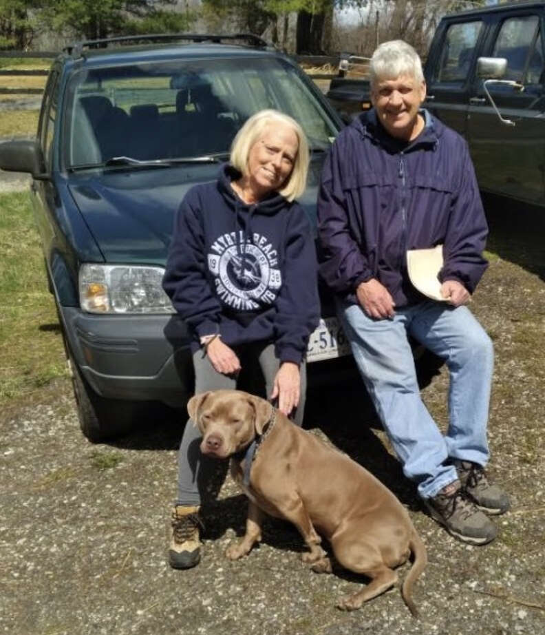 Dog poses with new family