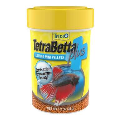 Frozen food outlet for betta fish