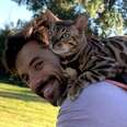 cat resting on his dad's shoulders