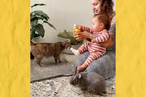 woman holding a baby with a cat and bunny