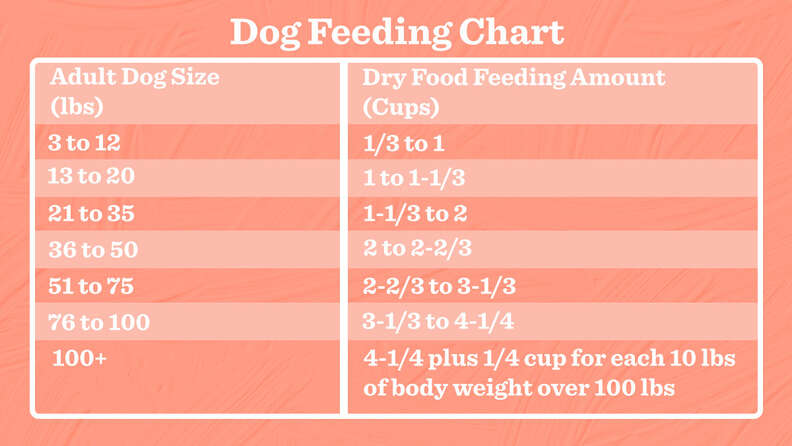 Adult dog 2024 feeding chart