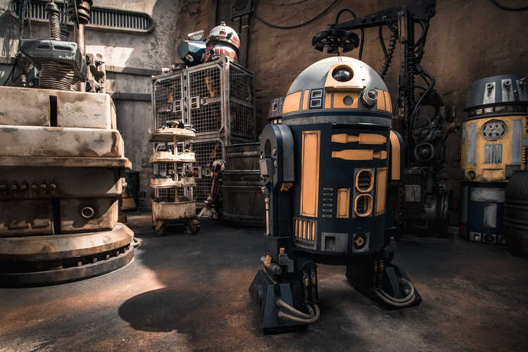 Disney's Hollywood Studios