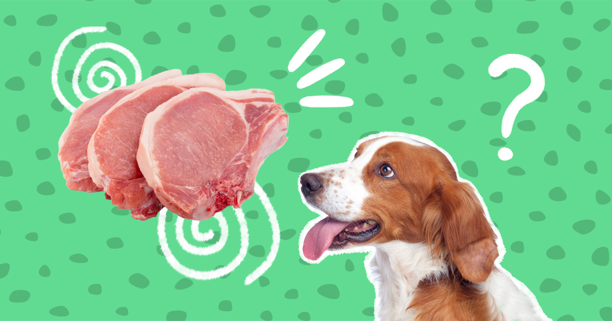 Is pork chop bones bad store for dogs