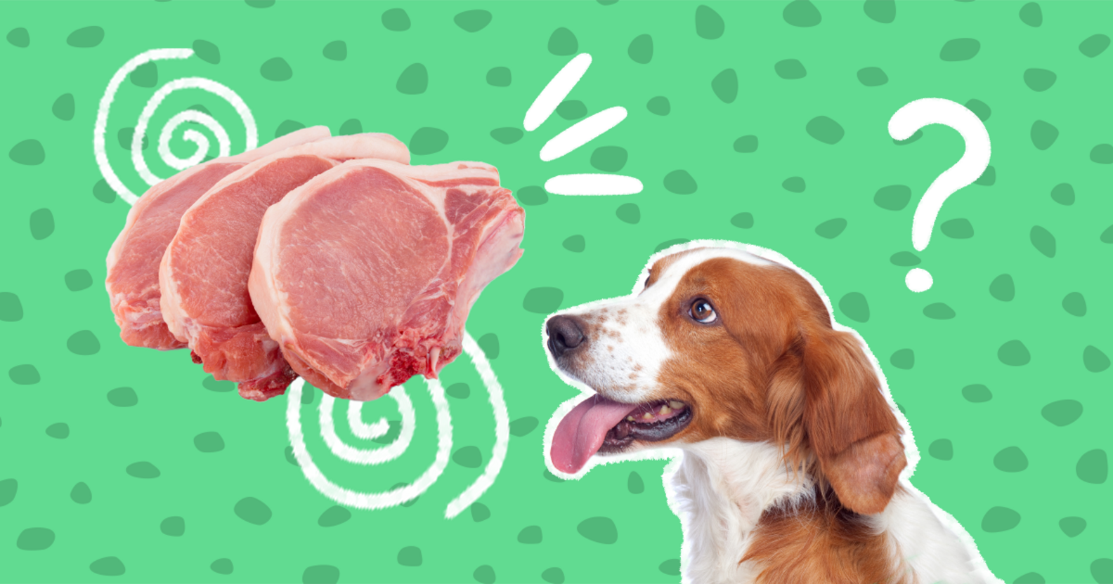 Can Dogs Eat Pork? And What Amount Is Safe? DodoWell The Dodo