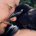 man cuddling a crow