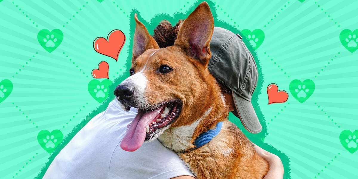 National Rescue Dog Day 2022 Celebrate With These 10 Amazing Rescues