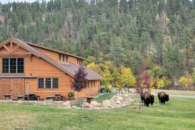 Custer State Park Resort