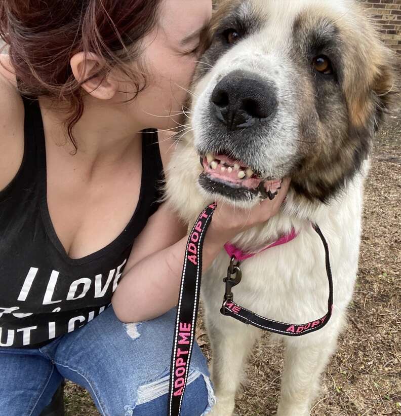 Foster mom kisses dog on the cheek