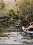 two people kayak through a swamp