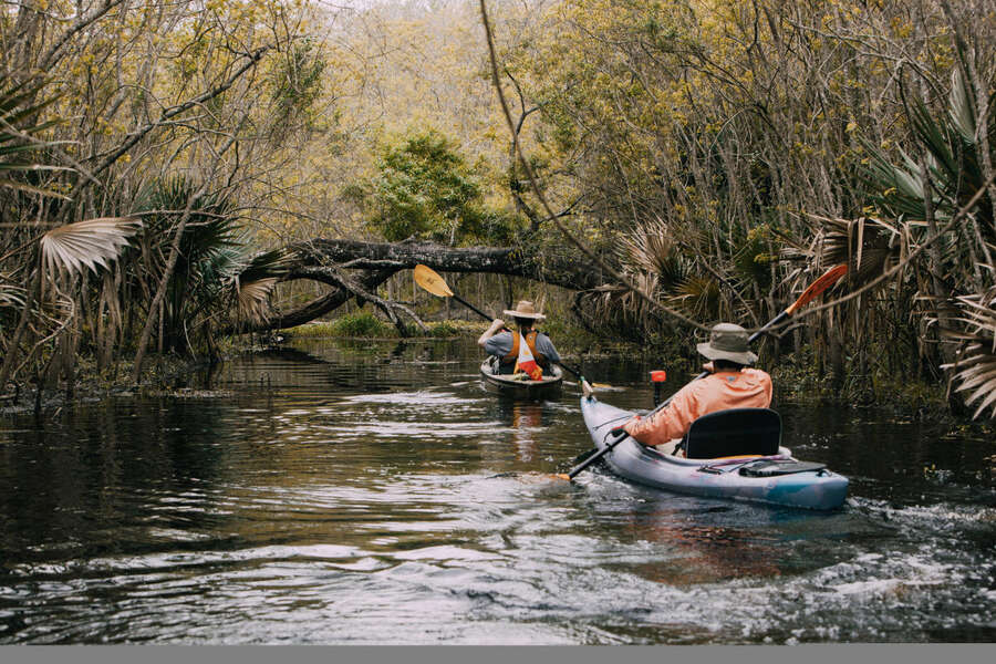 Best Things to Do in Lafayette, Louisiana - Vimarsana News