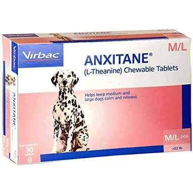 Best calming treats for dogs with separation anxiety best sale