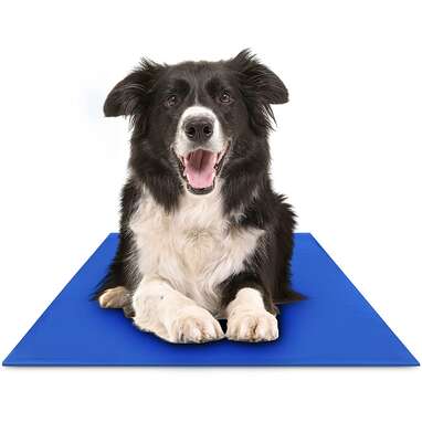 are dog cooling mats safe