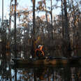 kayak through a swamp
