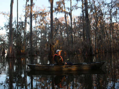 kayak through a swamp