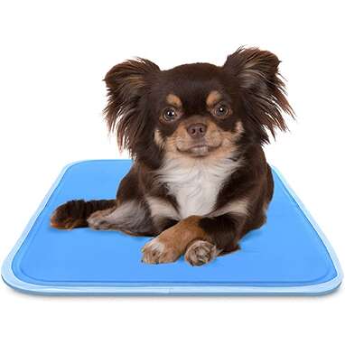 Longest lasting: TheGreenPetShop Dog Cooling Mat