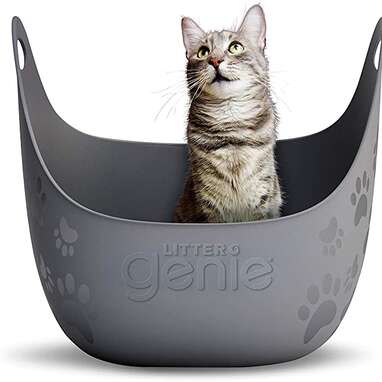A litter box that’s super easy to empty: Litter Genie Cat Litter Box