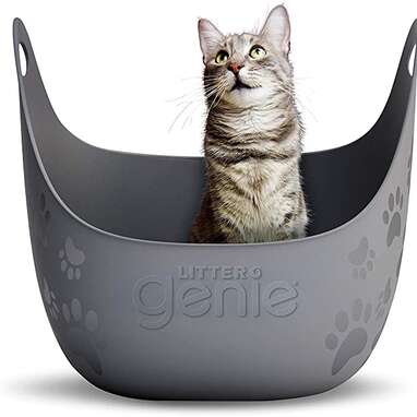 7 Litter Boxes And Accessories For Cat Lovers Who Hate Unpleasant Smells DodoWell The Dodo