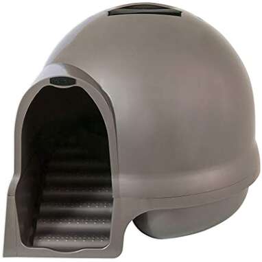 One that wipes off your cat’s litter-covered paws: Petmate Booda Clean Step Cat Litter Box Dome
