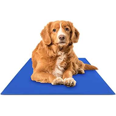 Chillz Cooling Mat For Dogs