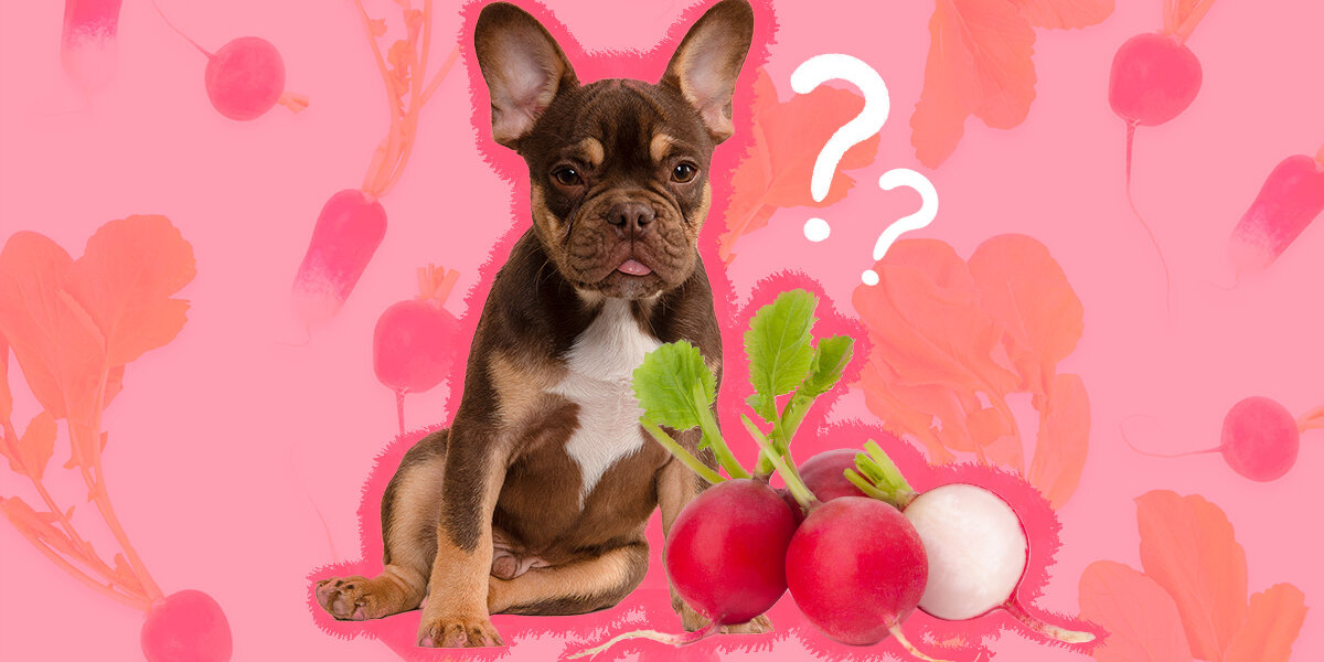 Are radishes online safe for dogs