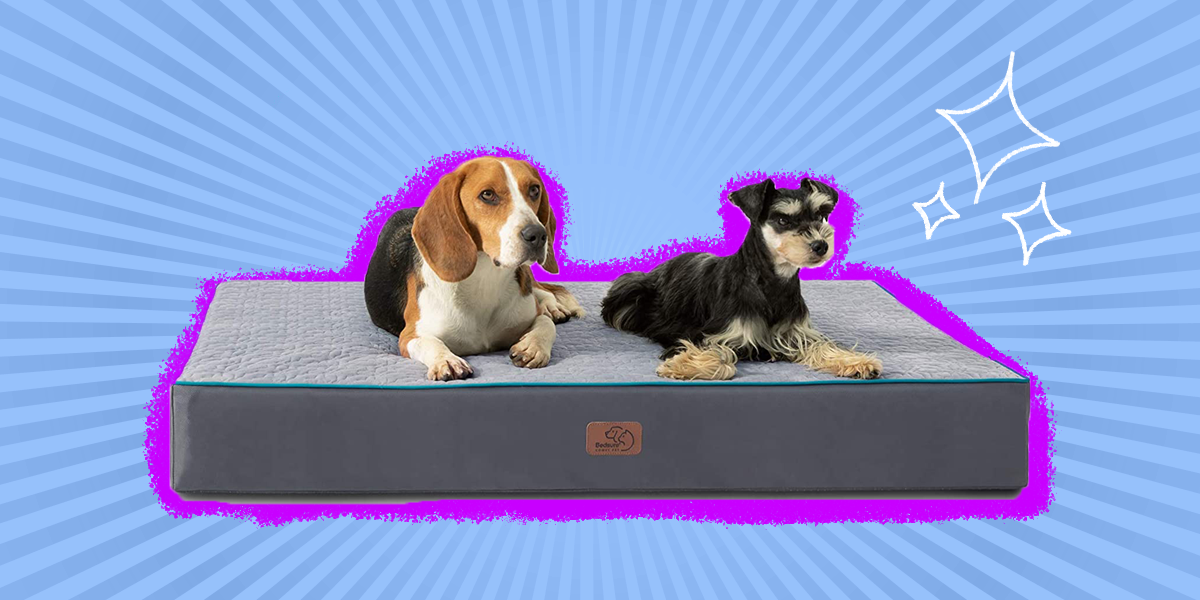 Cooling Dog Bed The 6 Best Options To Help Your Pup Chill Out