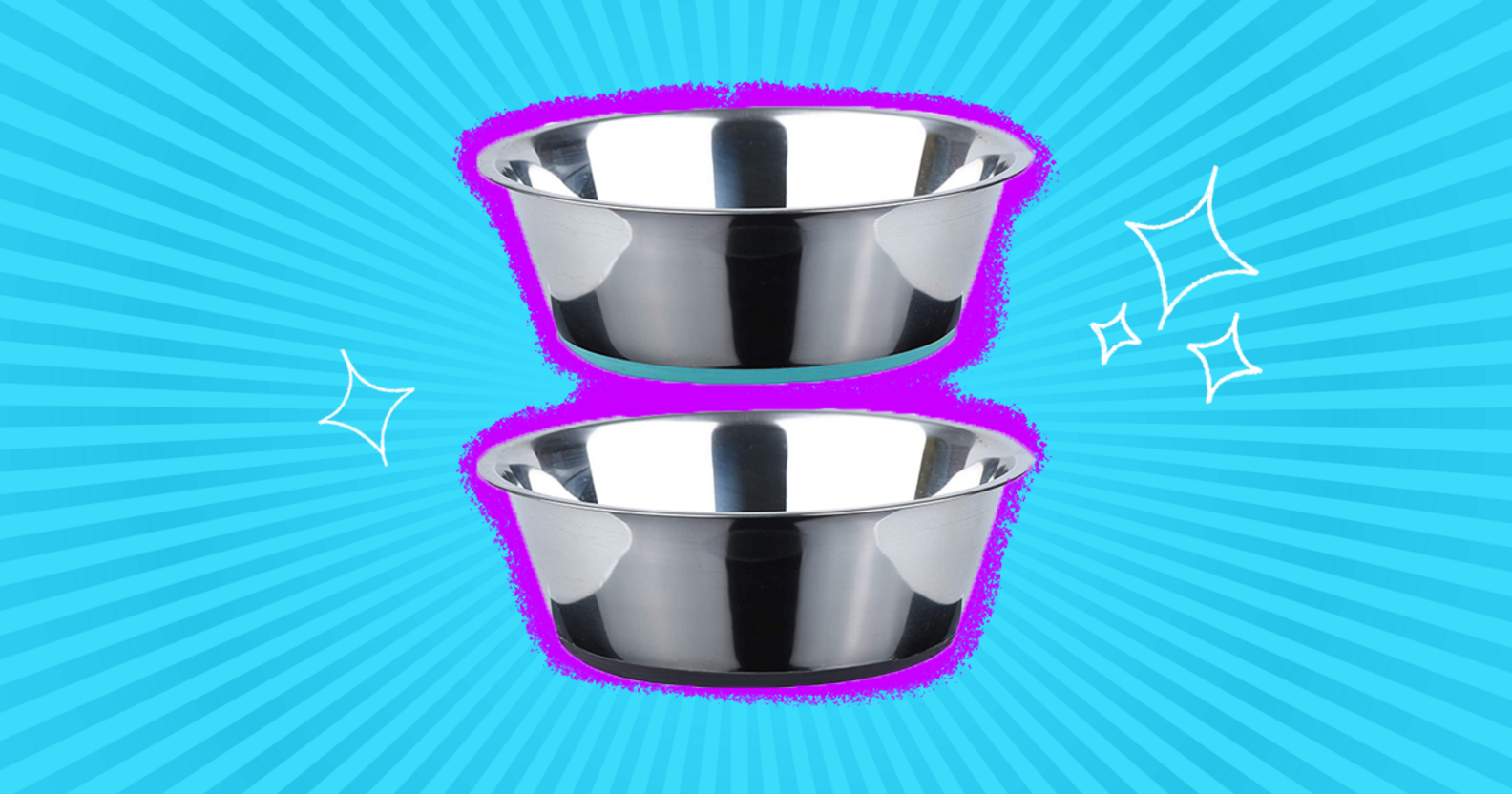 Dog Food Bowl The 11 Best Options For Every Type Of Dog DodoWell