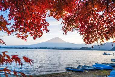 autumn leaves framing view of mt. fuji across a lake lined with canoes