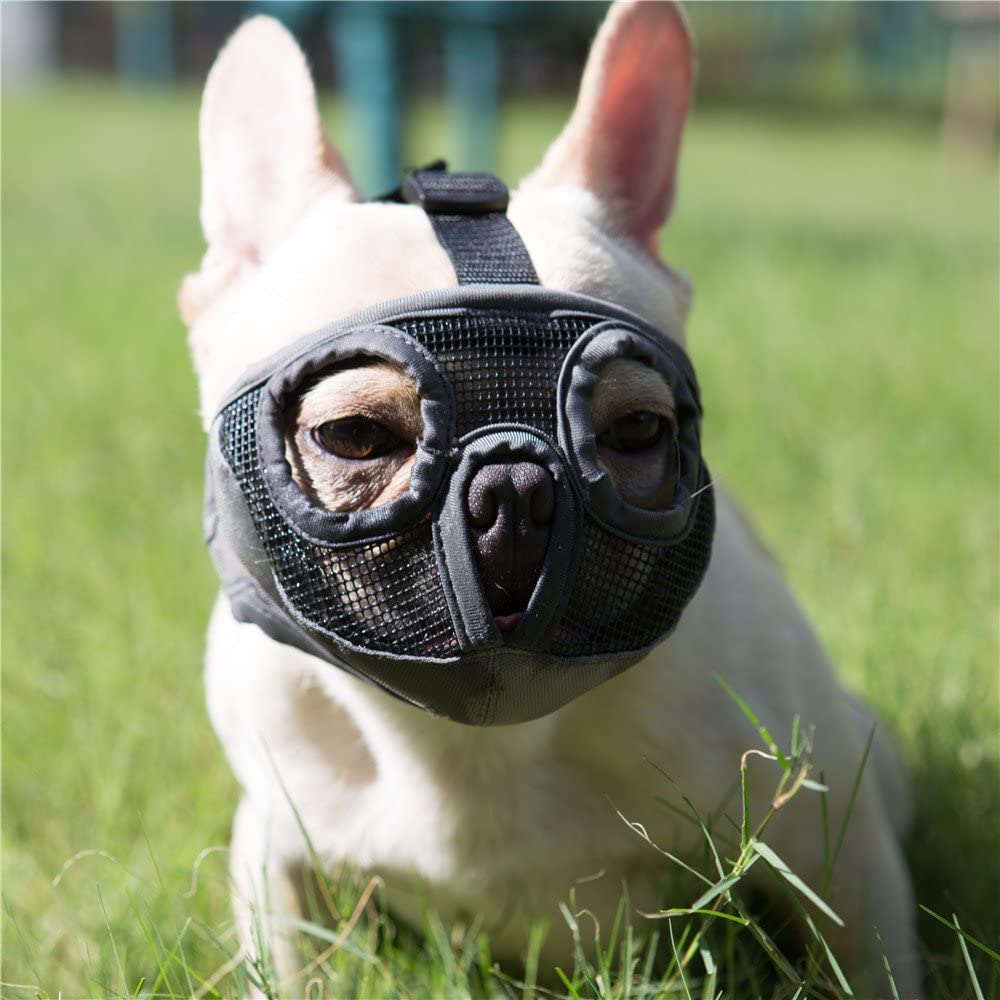 What is a hotsell dog muzzle used for