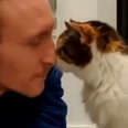 man and cat touching noses