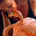 woman and pink flamingo