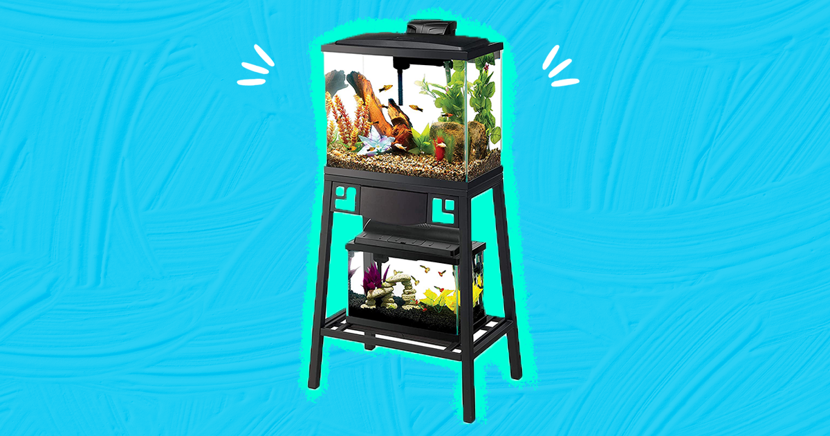 Tall fish clearance tank stand